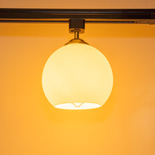Load image into Gallery viewer, Track Head Lighting Ceiling Lights Globe Glass Lampshade