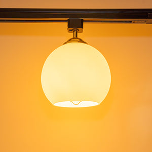 Track Head Lighting Ceiling Lights Globe Glass Lampshade