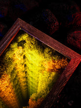 Load image into Gallery viewer, Vintage Ambient Light Endless Abyss Moss Plant Desktop Table Ornament Night Light As Gift, Decorative Items