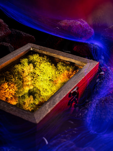 Vintage Ambient Light Endless Abyss Moss Plant Desktop Table Ornament Night Light As Gift, Decorative Items