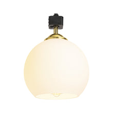 Load image into Gallery viewer, Track Head Lighting Ceiling Lights Globe Glass Lampshade