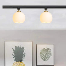 Load image into Gallery viewer, Track Head Lighting Ceiling Lights Globe Glass Lampshade