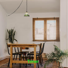 Load image into Gallery viewer, Three Functions To choose Plug-in Pendant Light Adjustable Height Mode for Bedroom Hallway