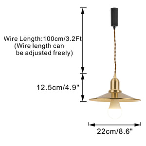 RGB LED Bulb With Remote Corded Dimmable Adjust Height Brass Track Pendant Light