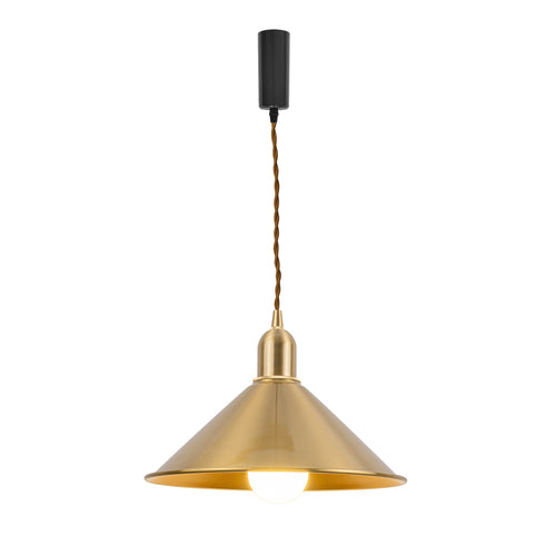 RGB LED Bulb With Remote Corded Dimmable Adjust Height Track Pendant Light Brass Cone Shade