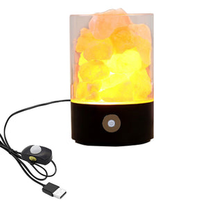 Motion Sensor LED Crystal Salt Lamp with USB Port Rattan Light