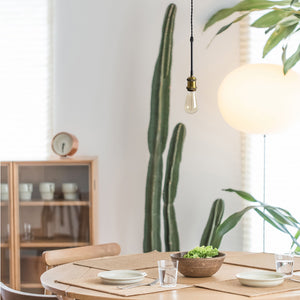 Track Light Pendant Scoket with Black Drop Iron Pipe 3pcs