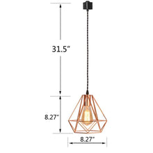 Load image into Gallery viewer, Copper Caged Tack Pendant Lamp 1pc/3pcs