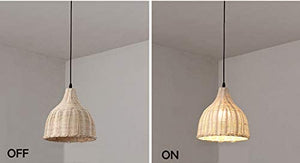 Creative Retro Rattan Lampshade Plug-in Pendant Light On/Off Dimmer Switch