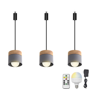 Rechargeable Battery Adjustable Cord Pendant Light Metal Shade Smart LED Bulbs with Remote