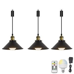 Rechargeable Battery Pendant Light Metal Shade Smart LED Bulbs with Remote