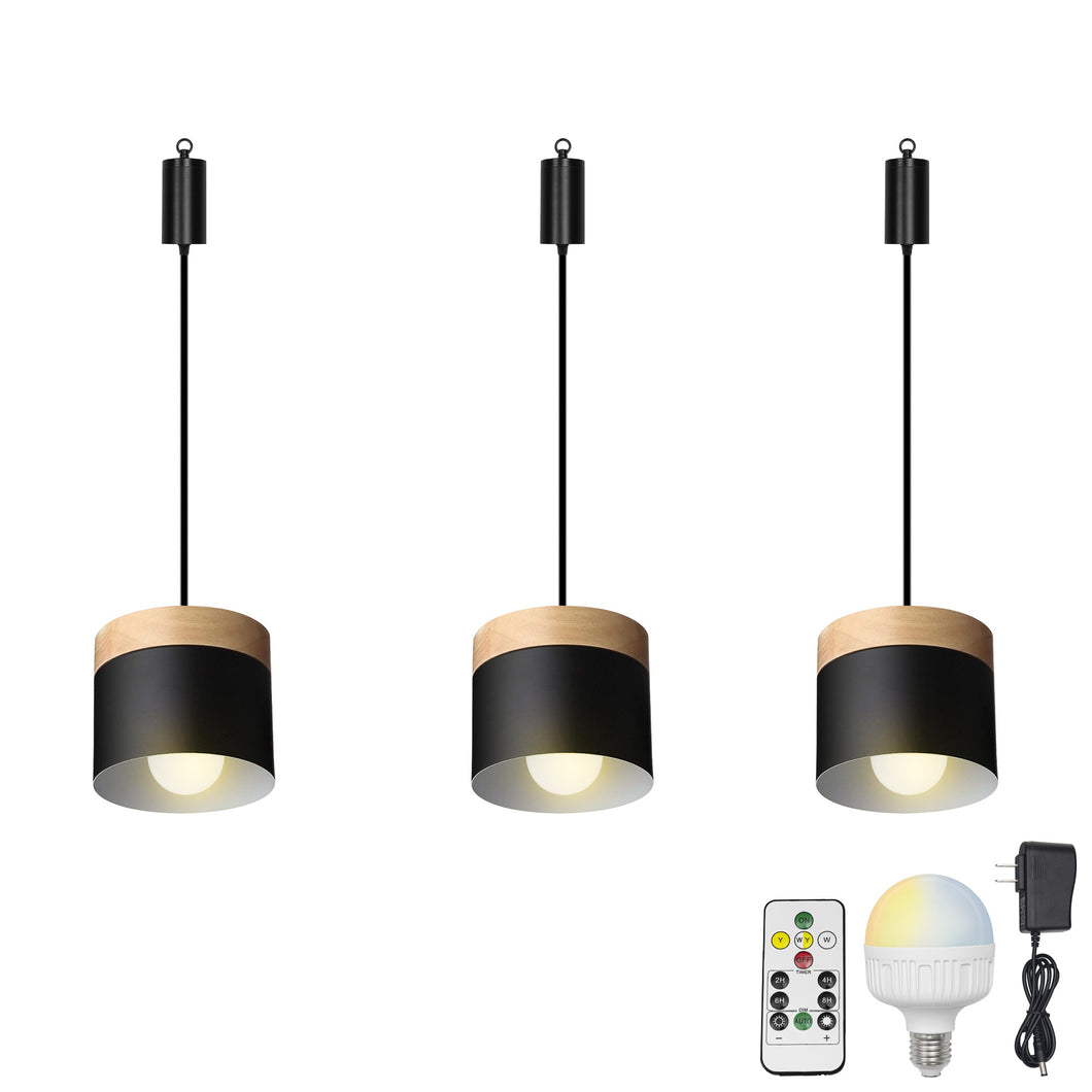 Rechargeable Battery Adjustable Cord Pendant Light Metal Shade Smart LED Bulbs with Remote