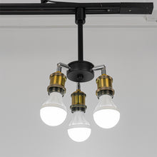 Load image into Gallery viewer, Track 3-Head Light Adjustable Angle Accent Lighting Fixture