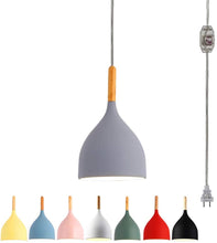 Load image into Gallery viewer, Swag Minimalist Plug-in Pendant Light Dimmable