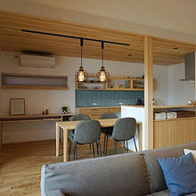 Load image into Gallery viewer, Track Pendant Lights Freely Adjustable Cord Hollow Metal Cage Shade