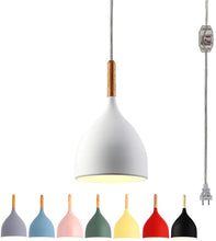 Load image into Gallery viewer, Swag Minimalist Plug-in Pendant Light Dimmable
