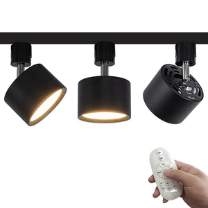 Dimmable Track Spotlight Adjustable Downlight Built-in LED with Remote