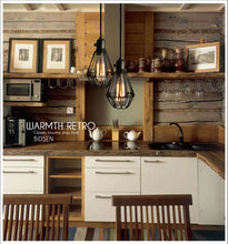 Load image into Gallery viewer, Track Lighting Iron Birdcage Lampshade 1pc