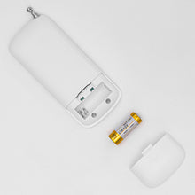 Load image into Gallery viewer, Plug-in Wall Sconce with Programmable Wireless Remote Control Vintage Fixture