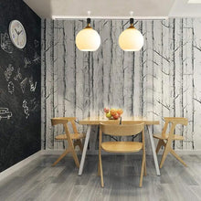 Load image into Gallery viewer, Track Head Lighting Ceiling Lights Globe Glass Lampshade