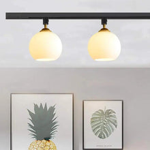 Load image into Gallery viewer, Track Head Lighting Ceiling Lights Globe Glass Lampshade