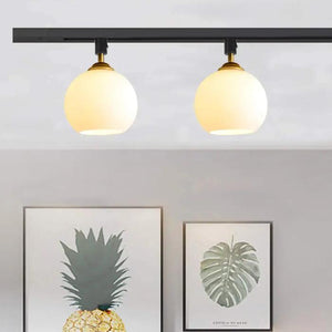 Track Head Lighting Ceiling Lights Globe Glass Lampshade