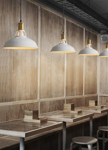 Track Pendant Lighting with Dimmable Smart LED Bulbs and Remote Industrial Style