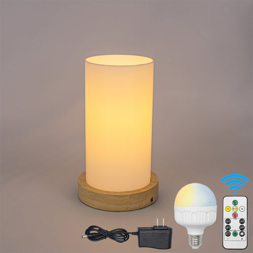 Rechargeable Cordless Night Light Dimmable Smart Bulbs with Remote Customized Pattern