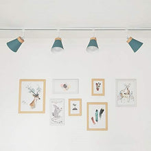 Load image into Gallery viewer, Track Head Lights Mini Adjustable Angle Ceiling Light