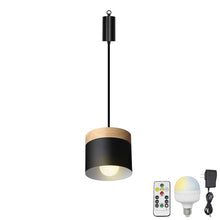 Load image into Gallery viewer, Rechargeable Battery Adjustable Cord Pendant Light Metal Shade Smart LED Bulbs with Remote