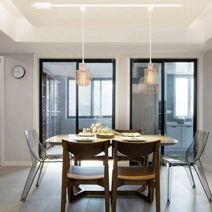Track Light DIY Flexible Iron Cage Pendant Mini Chrome Shade Lamp-Rose Golden