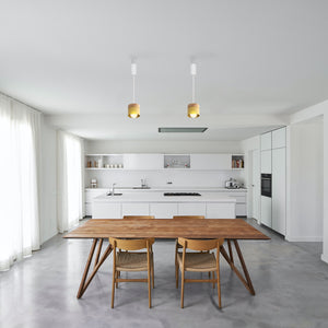 Rechargeable Battery Adjustable Cord Pendant Light Metal Shade Smart LED Bulbs with Remote