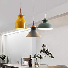 Load image into Gallery viewer, Track Light Modern Pendant Aluminum Cage Simple Style Decor Lamp